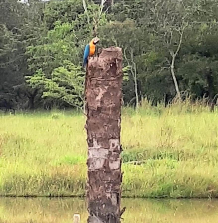 PirenópolisReserva Jasmim Manga别墅 外观 照片