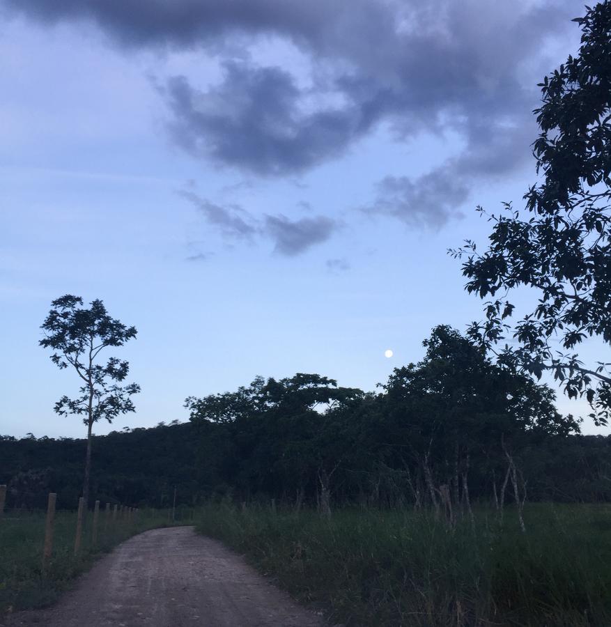 PirenópolisReserva Jasmim Manga别墅 外观 照片